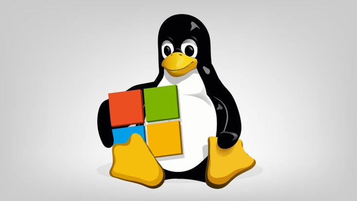 Windows Is Officially A Linux Based OS ( Kernel)